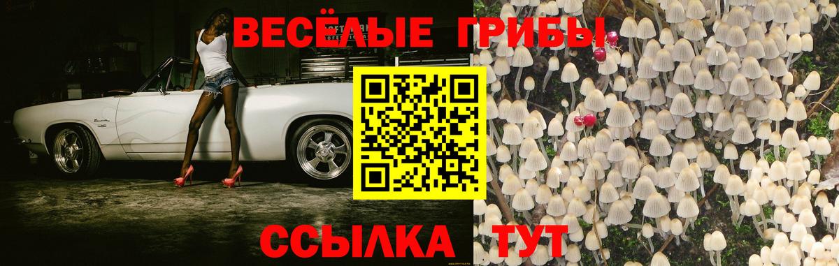 Псилоцибиновые грибы Cubensis Славгород