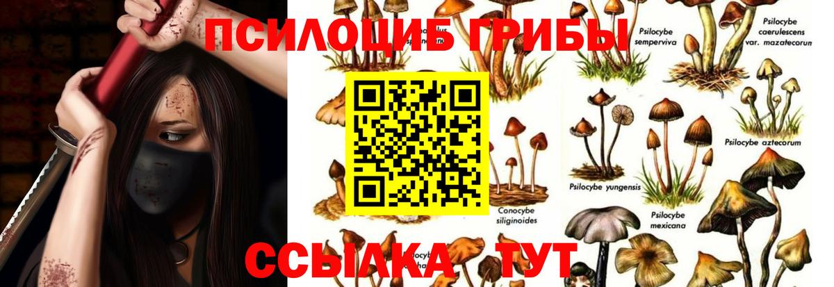 Славгород  Галлюциногенные грибы Psilocybe  магазин    Галлюциногенные грибы GOLDEN TEACHER  Вход с VPN 